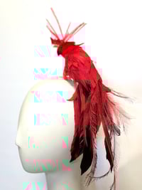 Image 3 of Red bird headpiece