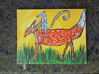 Image 7 of Possum Riding Fox