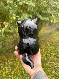 Image 4 of Medium Kittens 