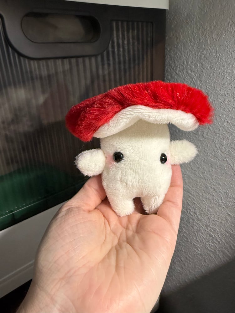 Image of claim for shroomie