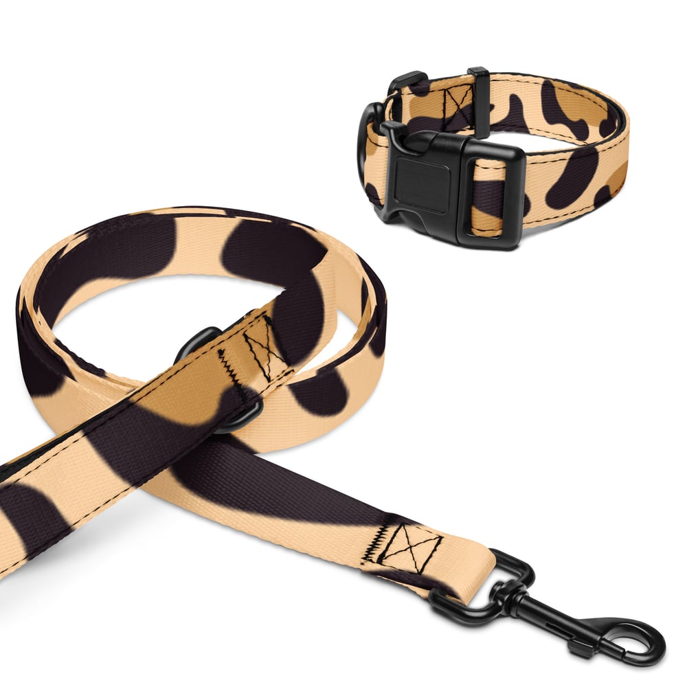 Image of Pet collar & leash Leopard