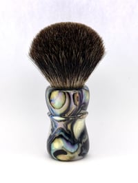 Image 3 of Abalone “