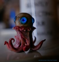 Image 15 of T. Ocellus 2” sculpture