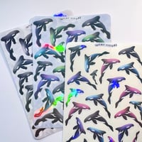 Image 1 of orca