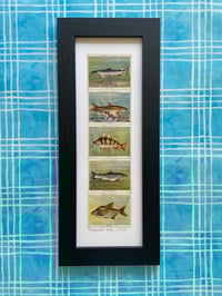 Image 17 of Framed 1930s Collectors Cards inc Motor Cars, Aeroplanes, Yachts, Film Stars, Dance and Exercise