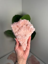 Image 1 of XL PINK HALITE -OWENS LAKE- F
