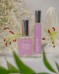 Dahlia Petals Perfume Spray - 30ml