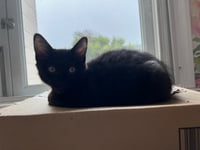 Image 4 of Side Loaf