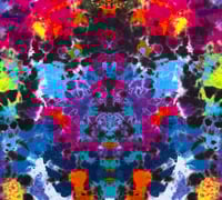 Image 4 of XL