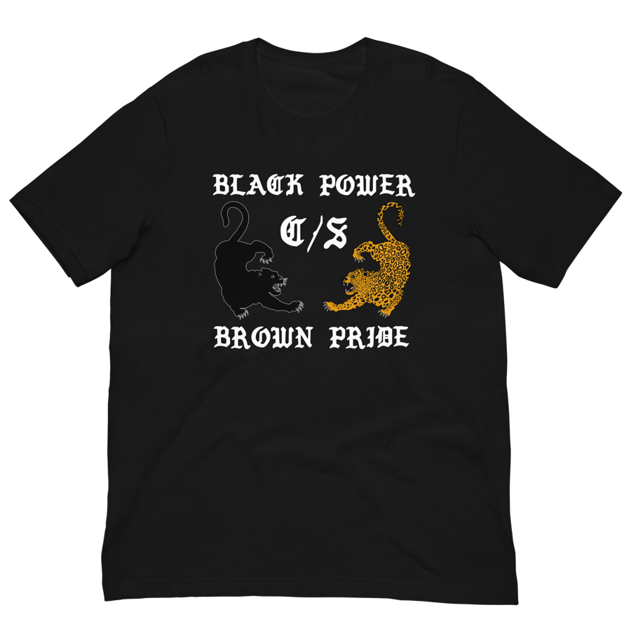 Image of LOWER AZ Black Power Brown Pride Unisex t-shirt
