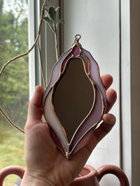 Image 5 of Cosmos (mini)