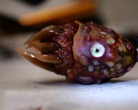 Image 6 of Little Monster Toothy pendant, OOAK,