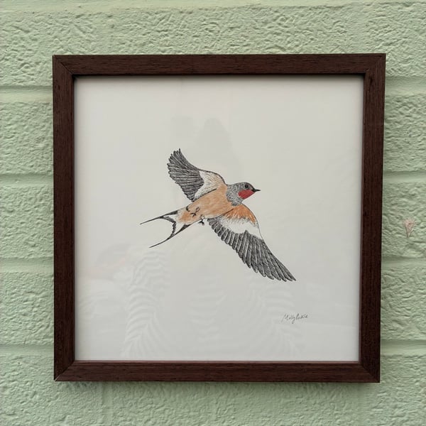 Image of £50 originals - Swallow 2 , ink & watercolour