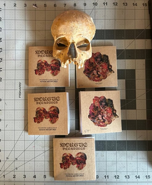 Image of MORGUE PLEASURES (mini-zine version.)