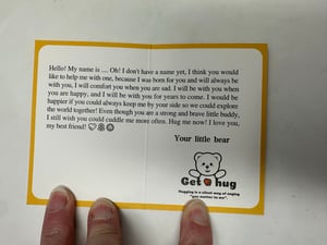 Image of 2 Get Hug Bears with 4 outfits Free Shipping 