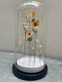 Image 1 of Jardin intérieur, fleurs sous cloche XL -2