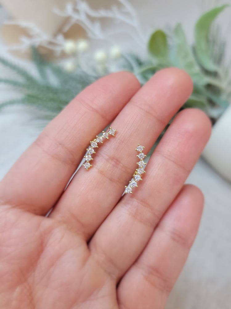 Image of Summer Earrings 