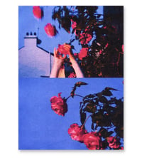 Image 1 of PICK ROSES AT NIGHT IV