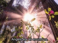 Image 2 of A message from your spirit guides 