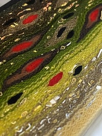 Image 1 of Brown Trout w/ 3 tone shavings by Mikie