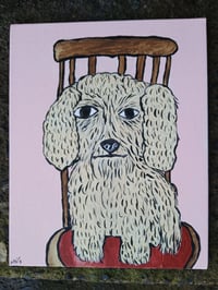 Image 5 of Crusty Dog