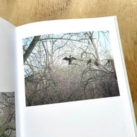 Image 3 of Freya Najade - Along the Hackney Canal