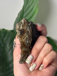 Image 3 of HALF POLISHED HIMALAYAN RUTILE IN QUARTZ CLUSTER F