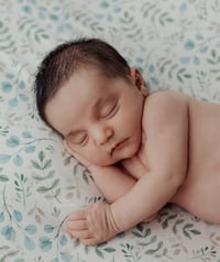 Image 1 of fond + wrap newborn eucalyptus