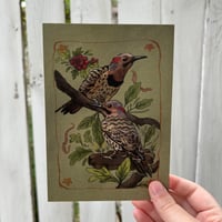 northern flickers print