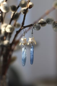 Image 1 of Orecchini Vertebre di mustelide e Kyanite