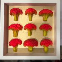 Windows and doors 9 Broccolis