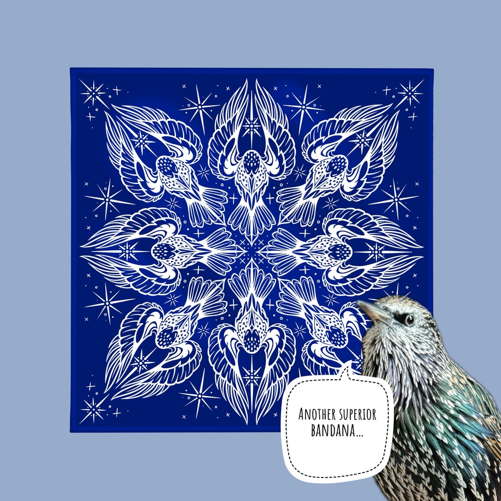 Image of Starling Bandana