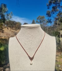 Image 2 of Cowrie Shell Necklace 