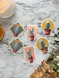 Image 3 of Cactus Crew