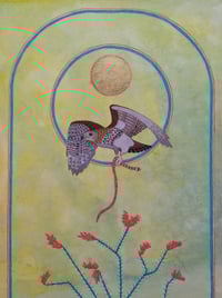 “Hawk and Coral Snake” print by Zasha Welsh