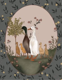 Image 2 of 4 little Ducks 