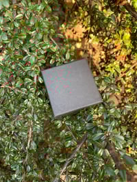 Image 5 of DELUXE Blue CZ Night & Light Dragon Stud Earrings