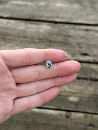 Image 1 of GH Cartilage #1