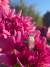 Image 2 of The Mesa Bloom