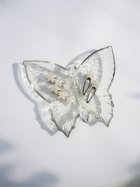 Image 3 of Shooting star clips