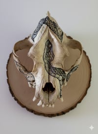 Image 1 of MEMENTO MORI