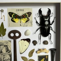 Image 3 of trinket frame #5