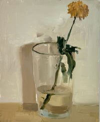 Chrysanthemum 2