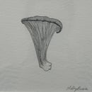 Image 2 of £50 originals - oyster mushroom , pointillism
