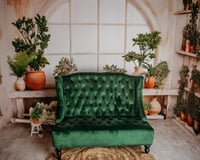 Image 3 of Spring Sessions- A Greenhouse Experience