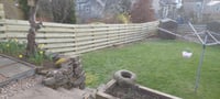 Image 4 of Fencing  - Style 2