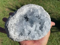 Image 6 of Celestite Geode #1950