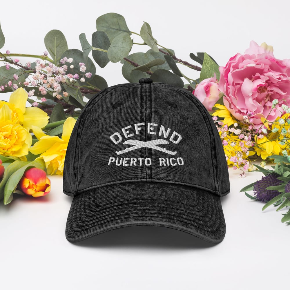 Defend PR Vintage Twill Cap