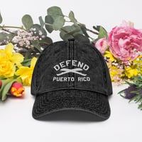 Image 2 of Defend PR Vintage Twill Cap