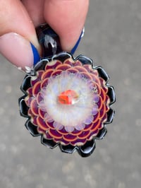 Image 5 of Primrose 